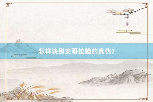 怎样诀别安哥拉猫的真伪？